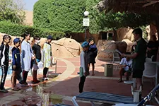 画像：水泳発表会