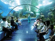 全校宿泊体験学習　水族館