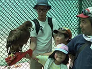 スクールトリップ　ノファサファリ